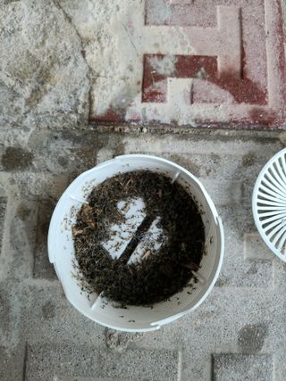 두리님의 자유주제 · 자유게시판 작성글 사진