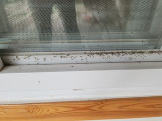 두리님의 자유주제 · 자유게시판 작성글 사진