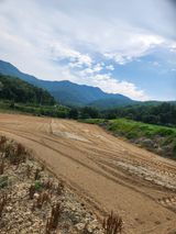 팜모닝 6월 내 작물 자랑하기🌱·참여글 게시글 이미지