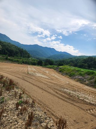 원통산베드로농원님의 6월 내 작물 자랑하기🌱 · 참여글 작성글 사진