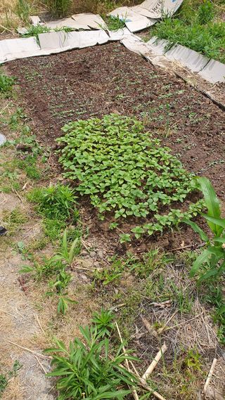 황의성님의 자유주제 · 자유게시판 작성글 사진