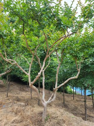 기중권님의 작성글 사진