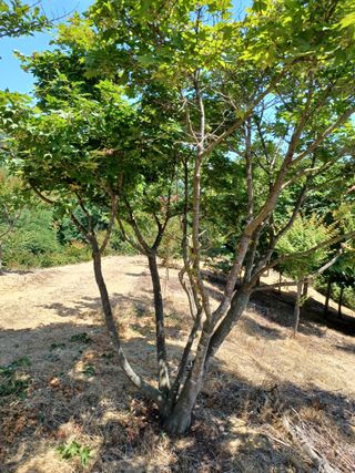 기중권님의 작성글 사진