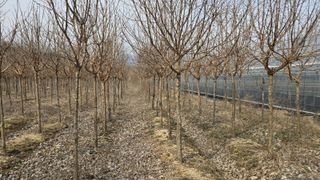 기중권님의 작성글 사진