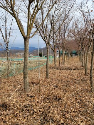 기중권님의 작성글 사진