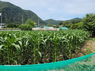 정창훈님의 자유주제 · 자유게시판 작성글 사진