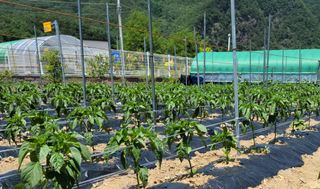 정창훈님의 자유주제 · 자유게시판 작성글 사진