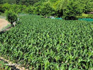 정창훈님의 자유주제 · 자유게시판 작성글 사진