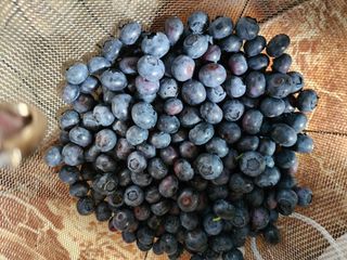 김영옥님의 자유주제 · 자유게시판 작성글 사진