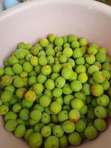 팜모닝 자유주제·자유게시판 게시글 이미지