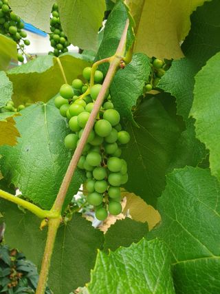 조종래님의 자유주제 · 자유게시판 작성글 사진