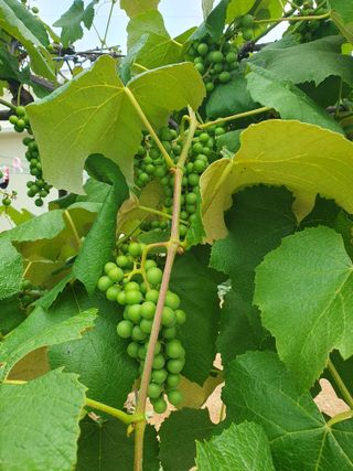 조종래님의 자유주제 · 자유게시판 작성글 사진