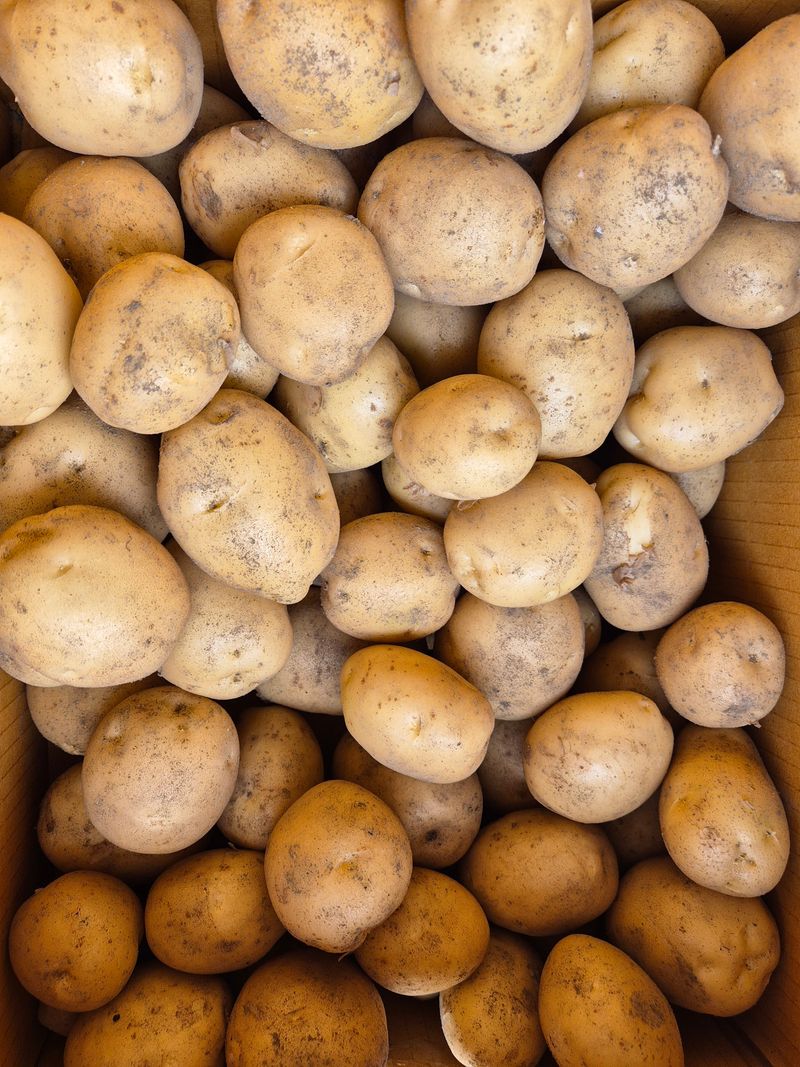 손유정님의 장터 판매 상품 [포슬포슬하고 맛있는 수미감자] 첨부 사진