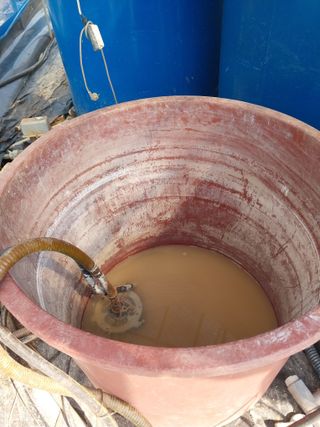 하늘샘(하경수)님의 고추 · 영농일지 작성글 사진