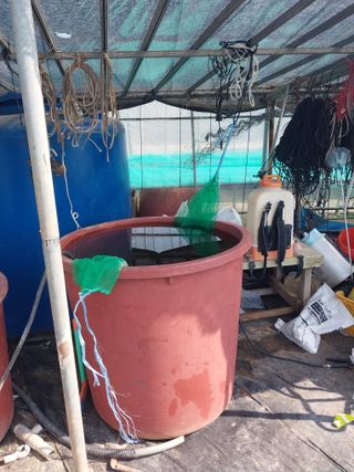 하늘샘(하경수)님의 고추 · 영농일지 작성글 사진