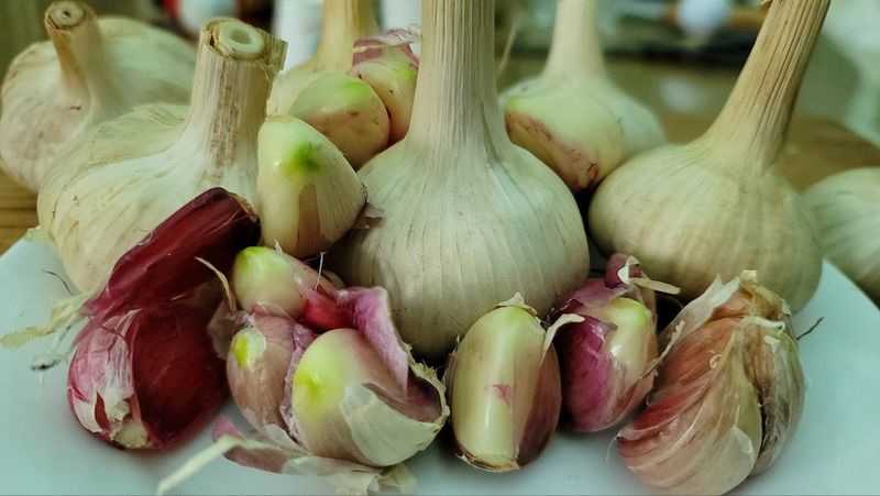 장터 상품 [홍산마늘  10kg] 썸네일