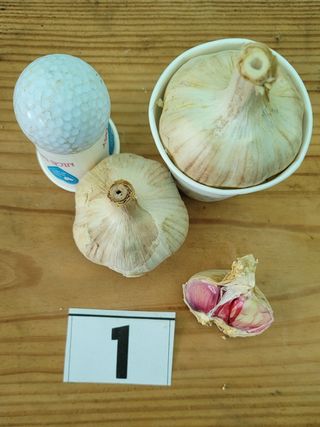 ..님의 작성글 사진