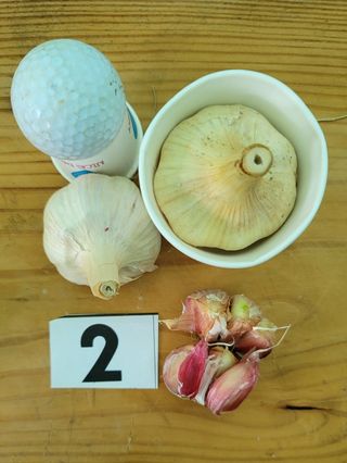 ..님의 작성글 사진