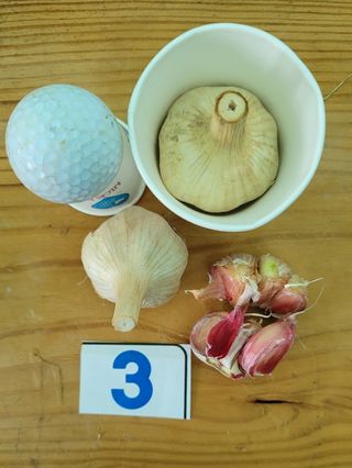 ..님의 작성글 사진