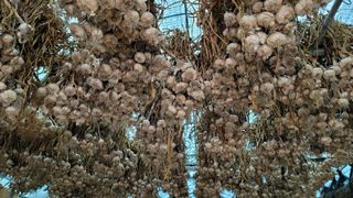 ..님의 작성글 사진