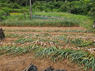 ..님의 작성글 사진