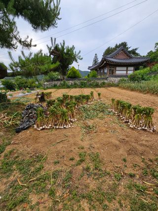 ..님의 작성글 사진