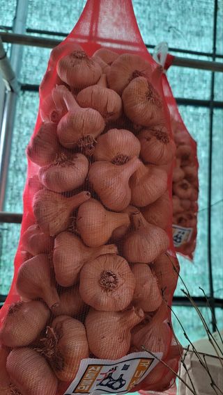 ..님의 작성글 사진