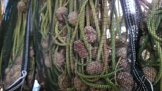 ..님의 작성글 사진