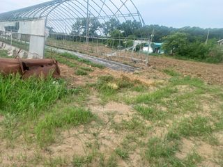 알 수 없음님의 자유주제 · 사진전 작성글 사진