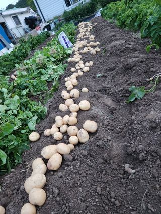 손유정님의 자유주제 · 자유게시판 작성글 사진