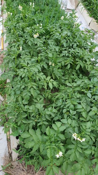 황의성님의 자유주제 · 자유게시판 작성글 사진