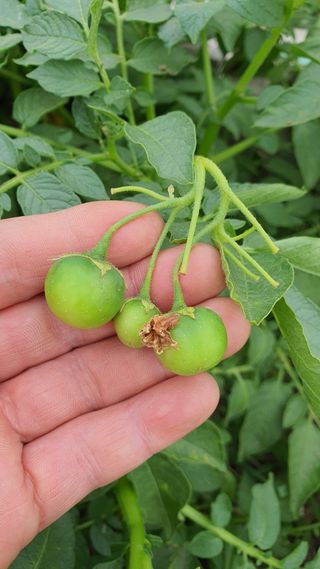 황의성님의 자유주제 · 자유게시판 작성글 사진