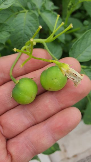 황의성님의 자유주제 · 자유게시판 작성글 사진