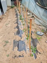 팜모닝 자유주제·사진전 게시글 이미지