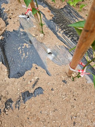 양간다리님의 자유주제 · 사진전 작성글 사진