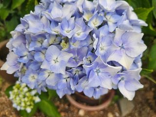 양간다리님의 자유주제 · 사진전 작성글 사진