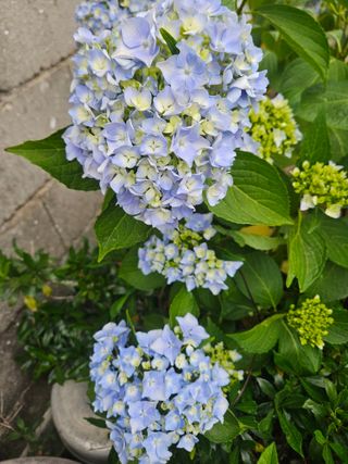 양간다리님의 자유주제 · 사진전 작성글 사진