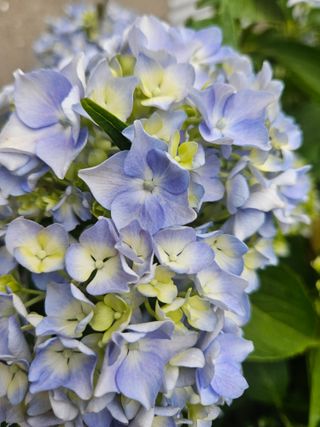 양간다리님의 자유주제 · 사진전 작성글 사진