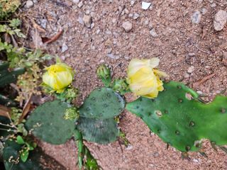 양간다리님의 자유주제 · 사진전 작성글 사진