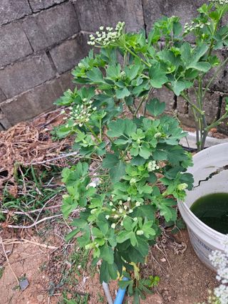 양간다리님의 자유주제 · 사진전 작성글 사진