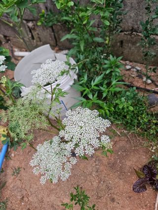 양간다리님의 자유주제 · 사진전 작성글 사진