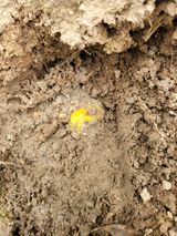 팜모닝 자유주제·자유게시판 게시글 이미지