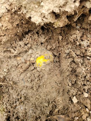 주현님의 자유주제 · 자유게시판 작성글 사진