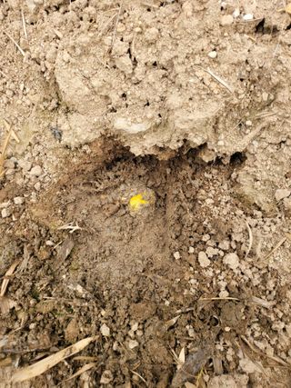 주현님의 자유주제 · 자유게시판 작성글 사진