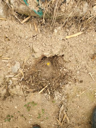 주현님의 자유주제 · 자유게시판 작성글 사진