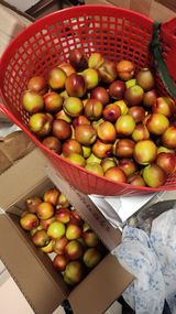 팜모닝 자유주제·자유게시판 게시글 이미지