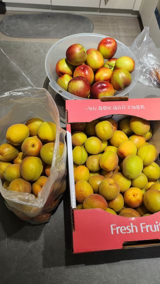 김호영님의 자유주제 · 자유게시판 작성글 사진