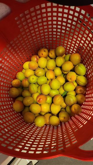 김호영님의 자유주제 · 자유게시판 작성글 사진