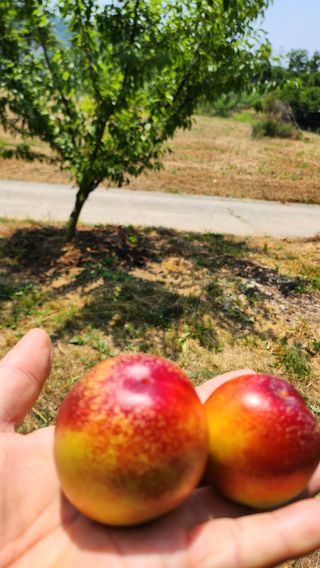 김호영님의 자유주제 · 자유게시판 작성글 사진