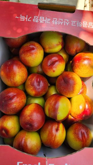 김호영님의 자유주제 · 자유게시판 작성글 사진